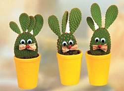 Velikonon dekorovan kaktusy